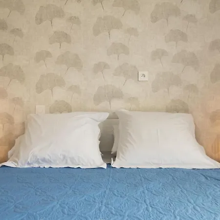 Cocooning Avec Vue Sur Les Pyrenees Apartamento *